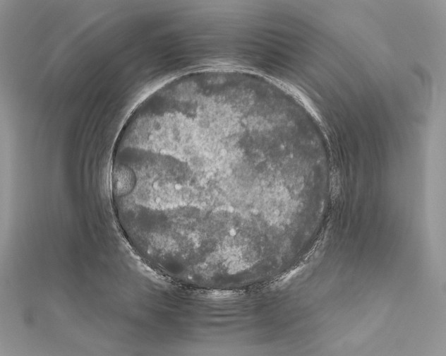 X0000111010839200907311050