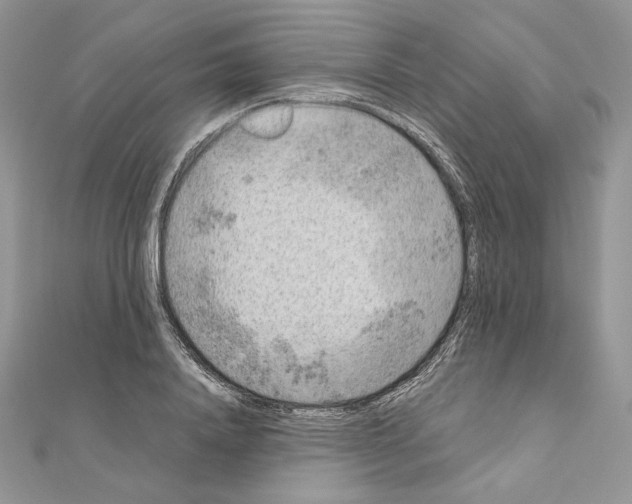 X0000111010840200907311050