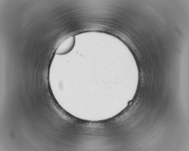 X0000111010842200907311050