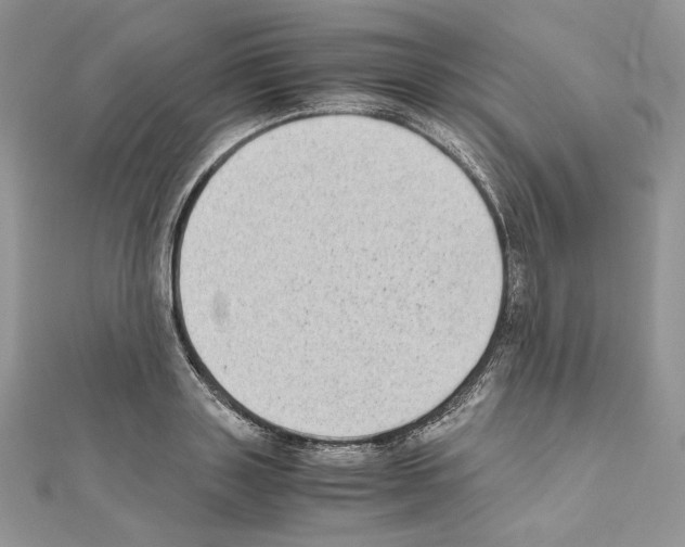 X0000111010843200907311050