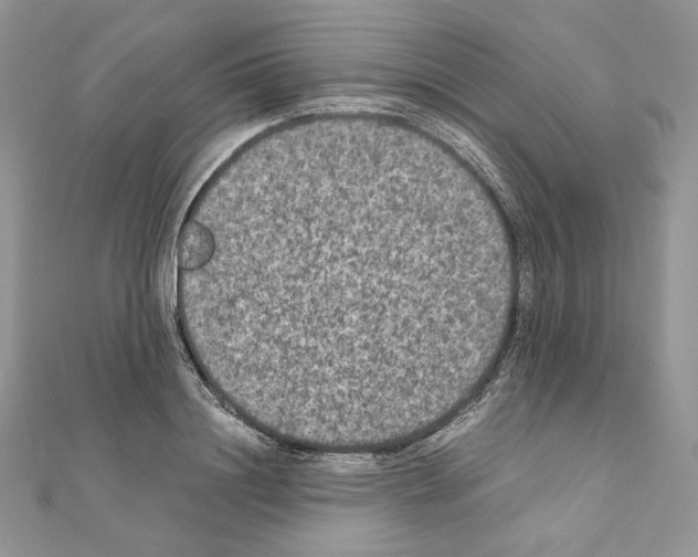 X0000111010844200907311050