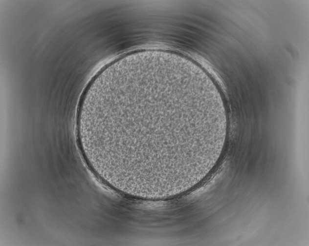 X0000111010845200907311050