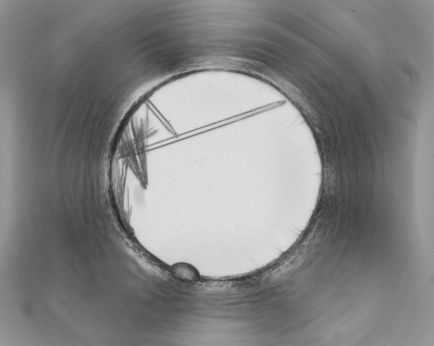X0000111010846200907311050
