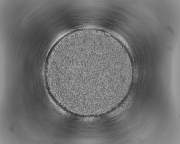 X0000111010847200907311050