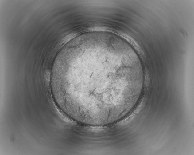 X0000111010849200907311050