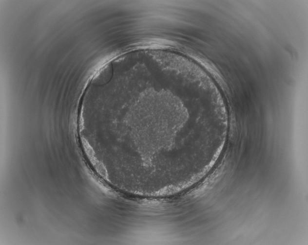 X0000111010850200907311050