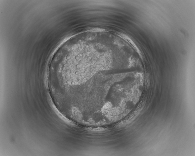 X0000111010851200907311050
