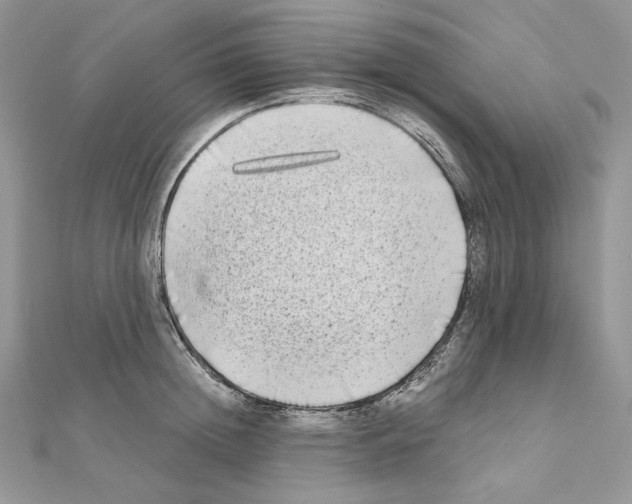 X0000111010852200907311050