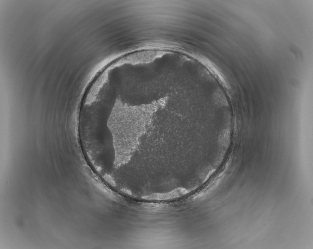 X0000111010854200907311050