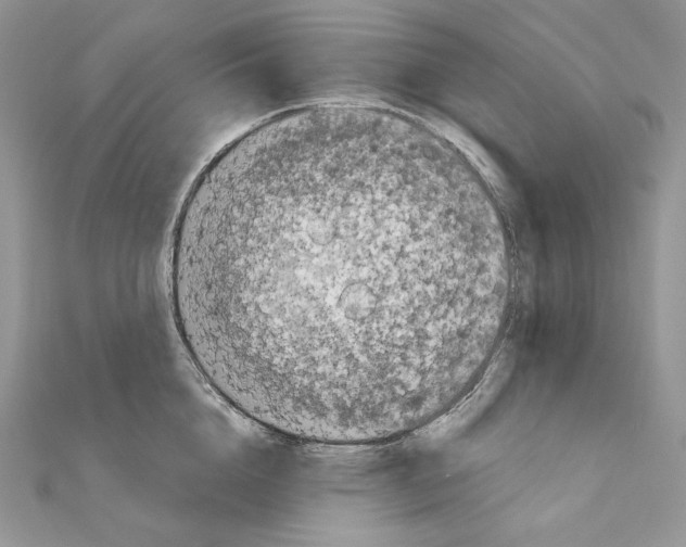 X0000111010856200907311050