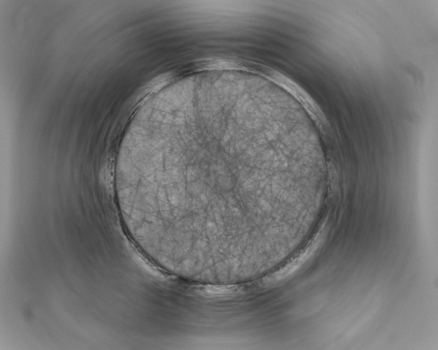 X0000111010857200907311050