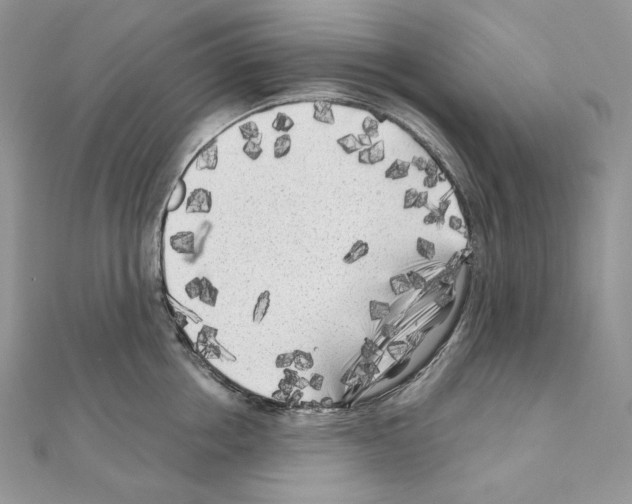 X0000111010858200907311050