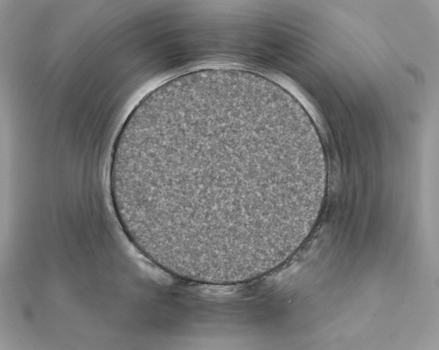 X0000111010861200907311050