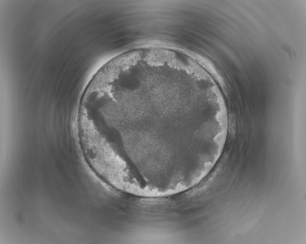 X0000111010863200907311050