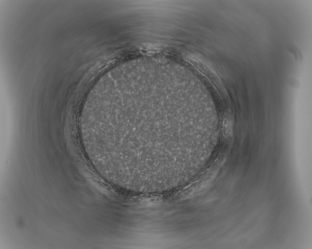 X0000111010865200907311049
