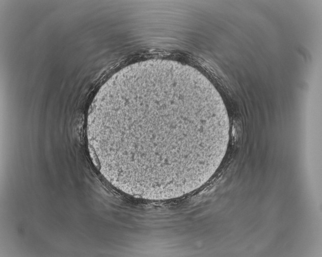 X0000111010867200907311049