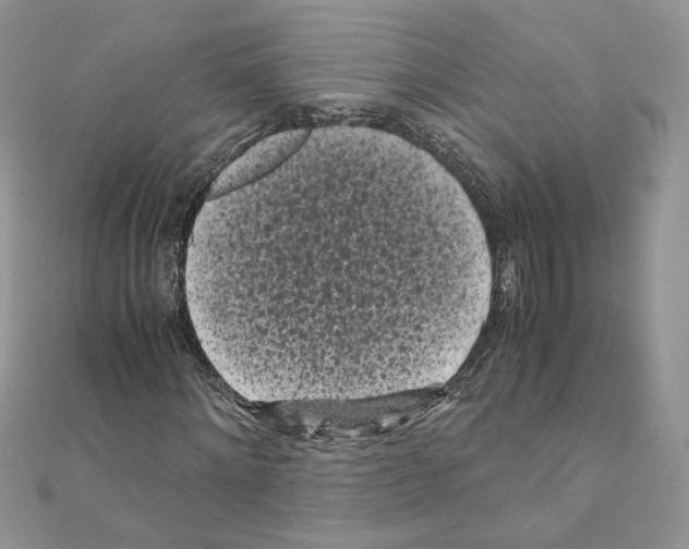X0000111010868200907311049