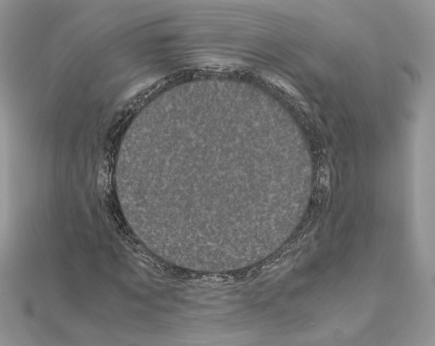 X0000111010869200907311049