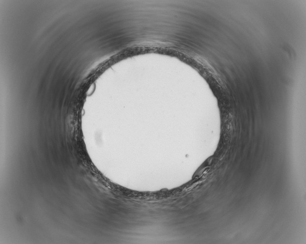 X0000111010872200907311049