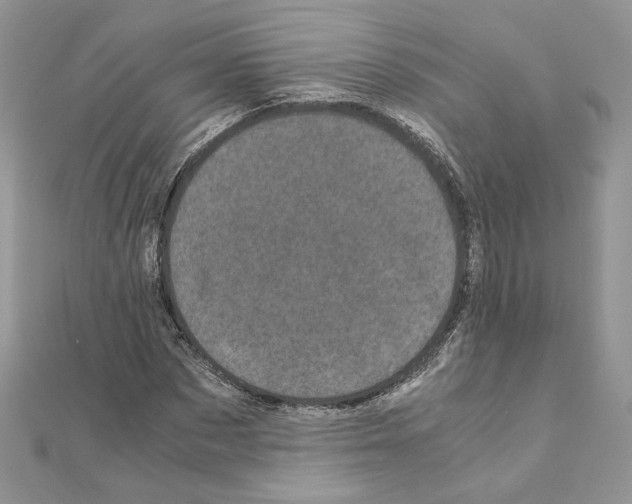 X0000111010873200907311049