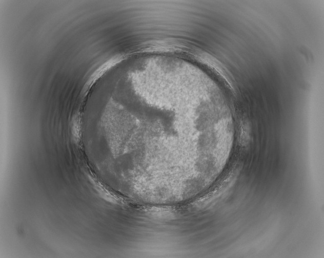 X0000111010874200907311049