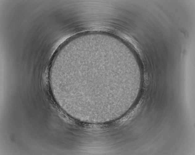 X0000111010875200907311049