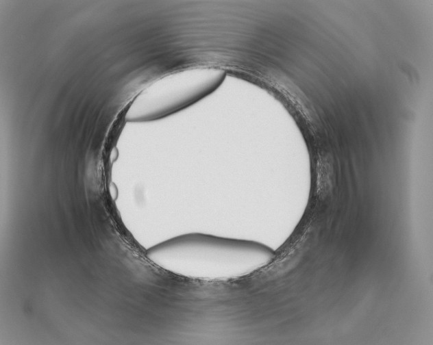 X0000111010876200907311049
