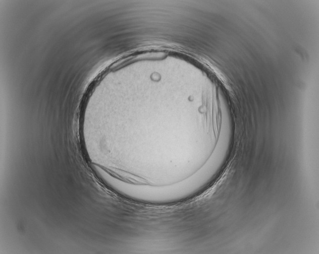 X0000111010877200907311049