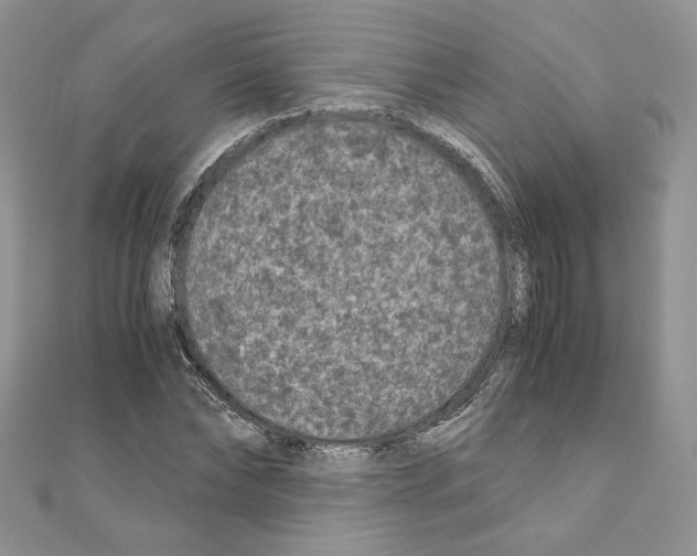 X0000111010878200907311049