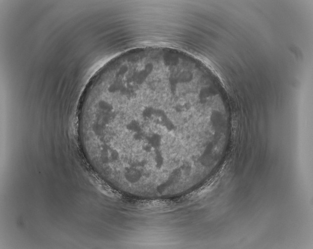 X0000111010879200907311049