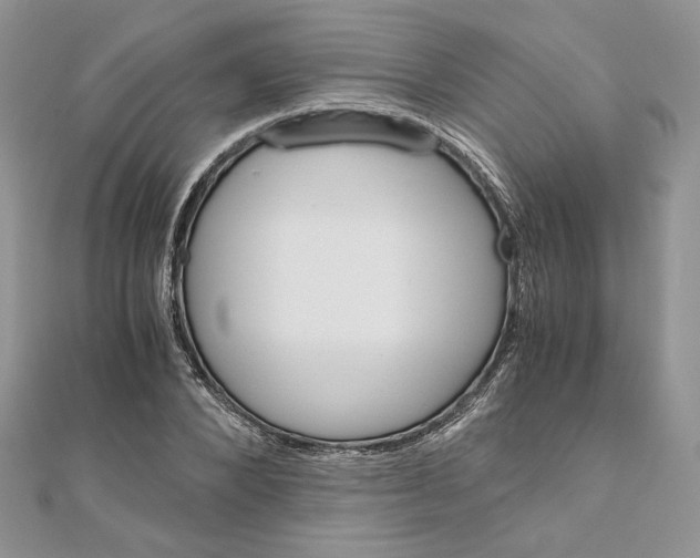 X0000111010880200907311049