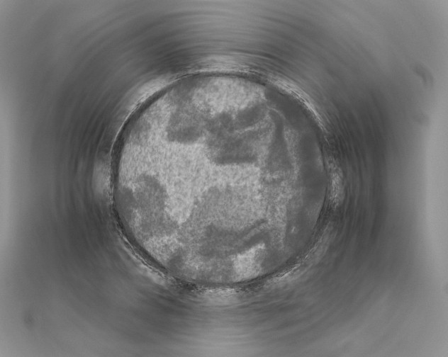 X0000111010882200907311049