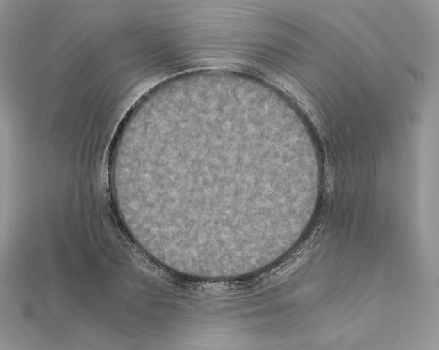X0000111010883200907311049