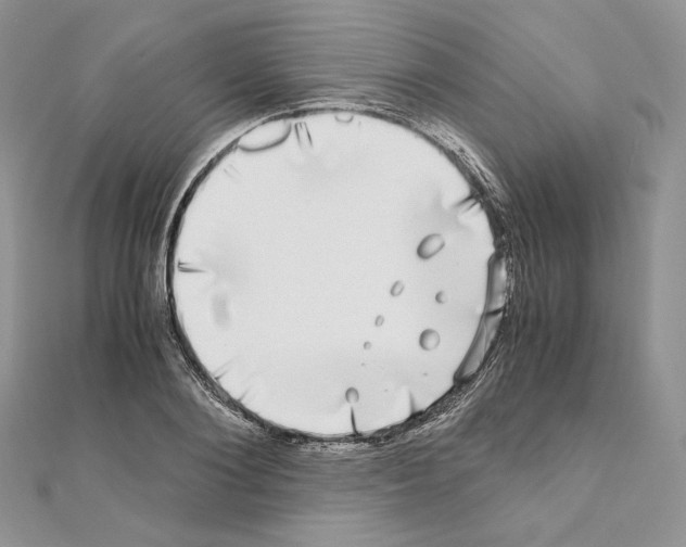X0000111010884200907311049