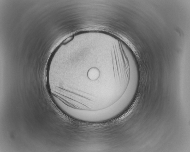 X0000111010885200907311049