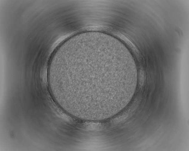 X0000111010886200907311049