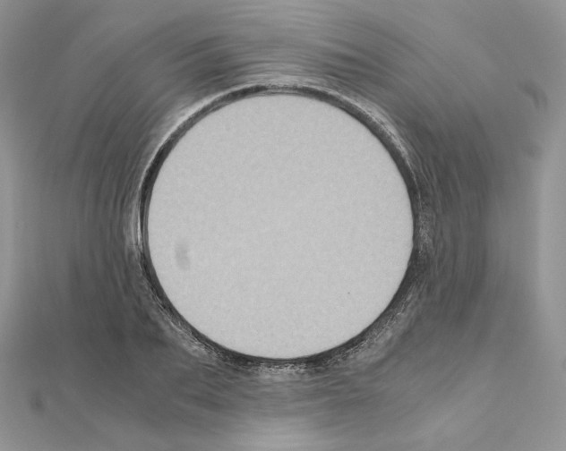 X0000111010887200907311049