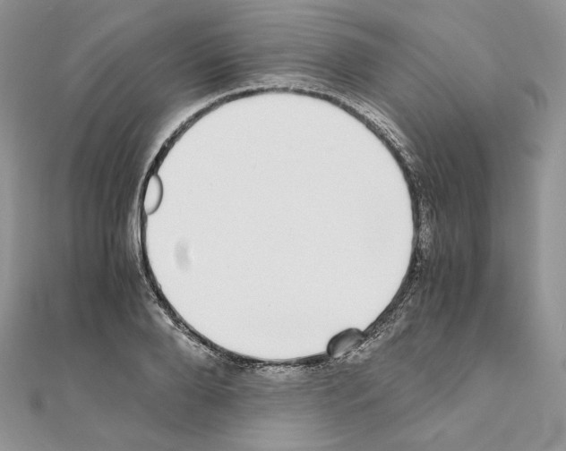 X0000111010888200907311049