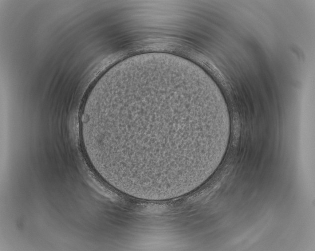 X0000111010890200907311049