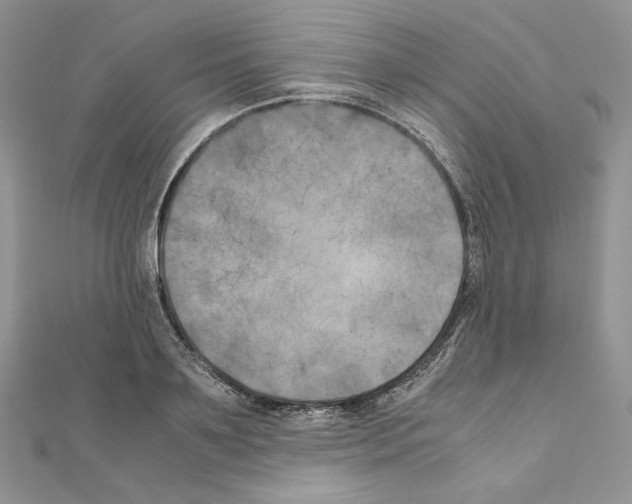 X0000111010891200907311049