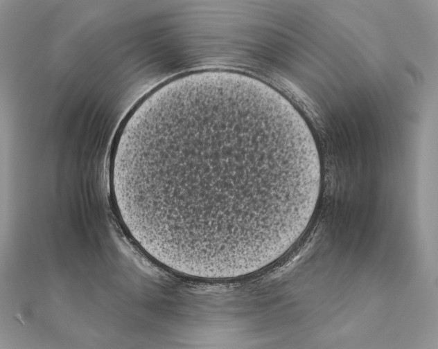 X0000111010892200907311049