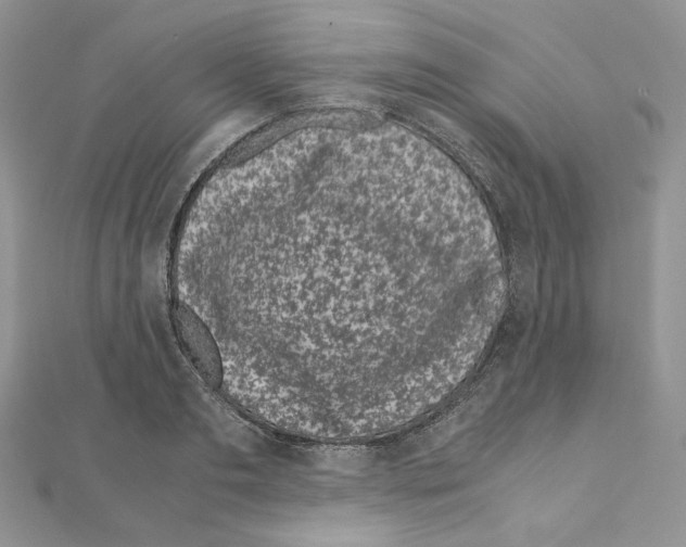 X0000111010893200907311049