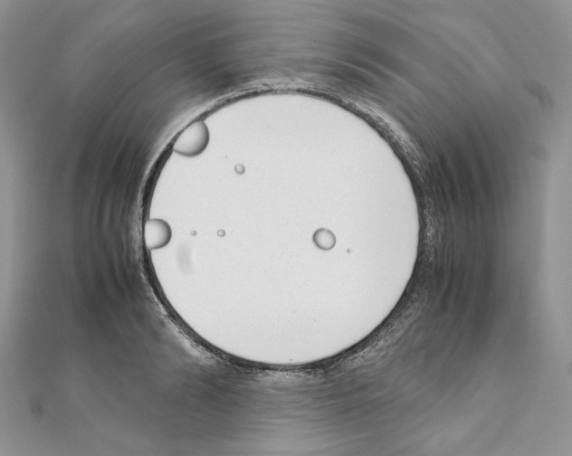 X0000111010894200907311049