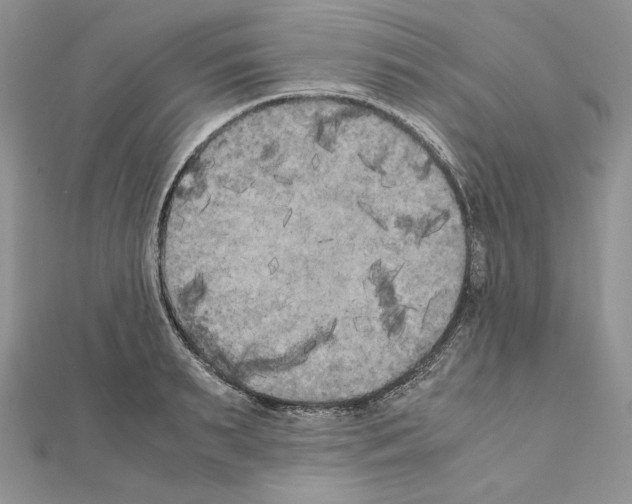 X0000111010895200907311049
