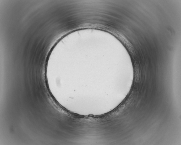 X0000111010896200907311049