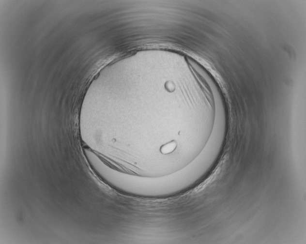 X0000111010897200907311049