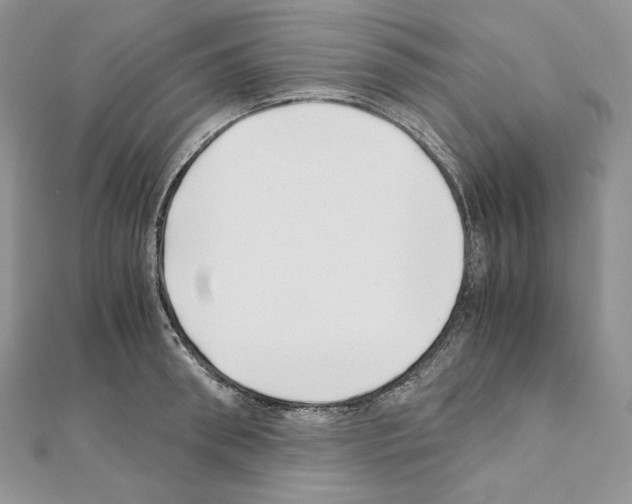 X0000111010898200907311049