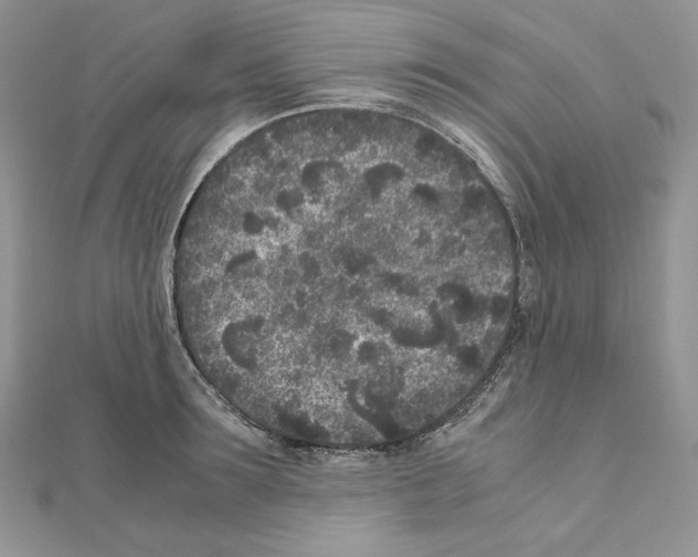 X0000111010899200907311049