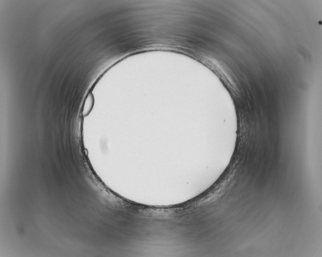 X0000111010900200907311049