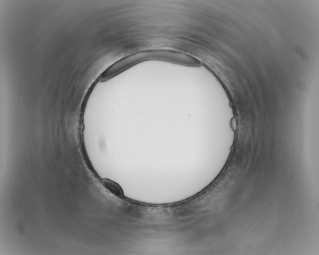 X0000111010901200907311049